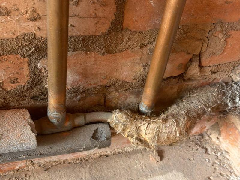 Plumbing by Trio Construction Group — photograph 1